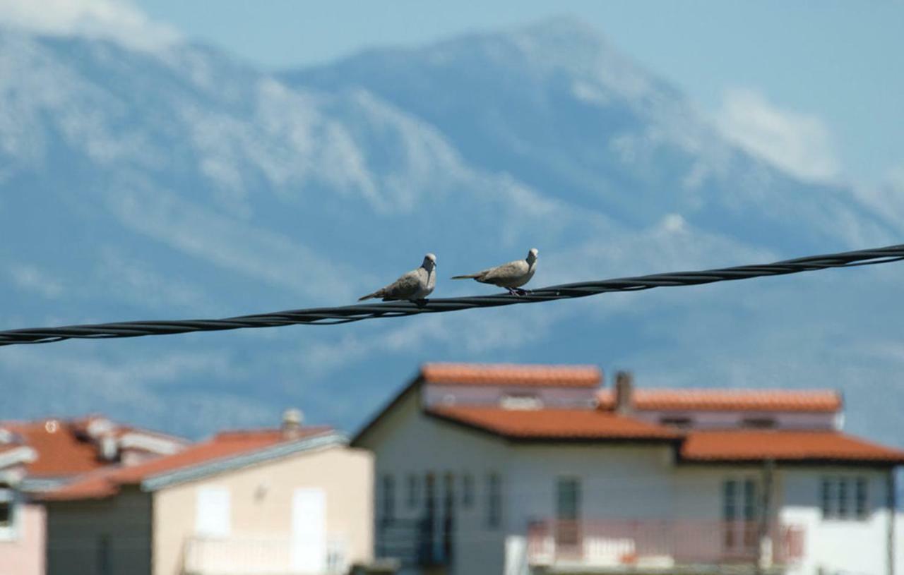 Apartments Ukic Kaštela Eksteriør bilde